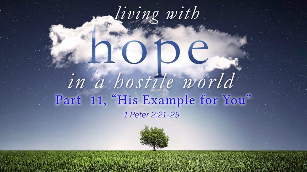 Part 11, “His Example for You” Image