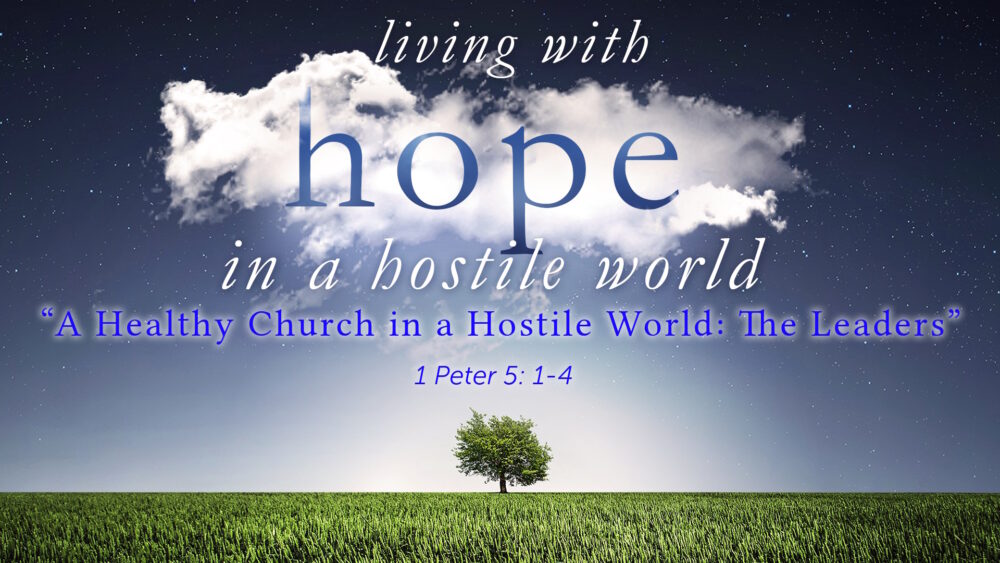 “A Healthy Church in a Hostile World: The Leaders” Image